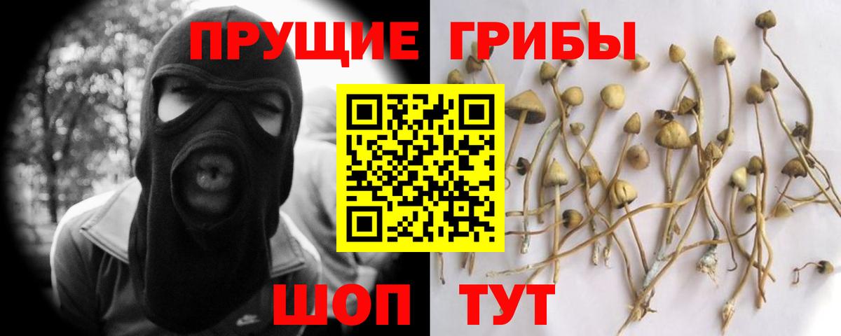 Псилоцибиновые грибы прущие грибы Приморско-Ахтарск